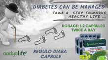 Regulo-Diaba Capsules, Comprehensive Management of Diabetes, Herbal Dietary Supplement for NIDDM - Type 2 - Aadya Life Sciences