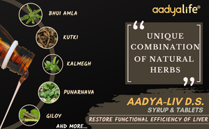 Aadya-liv D.S. Syrup - For Healthy Liver and Improves Appetite & Digestion