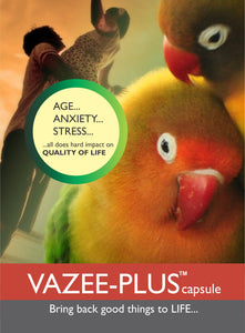 Vazee Plus, a Herbal Vitalizer for Vigor, Vitality and Performance booster with Ashwangdha - Aadya Life Sciences
